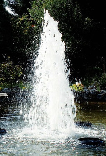 Die Leistungsstarken Springbrunnenpumpe / Fontänenpumpe für Fontänenbetrieb und als Springbrunnen