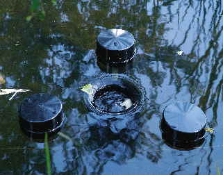 Schwimmskimmer im Einsatzt